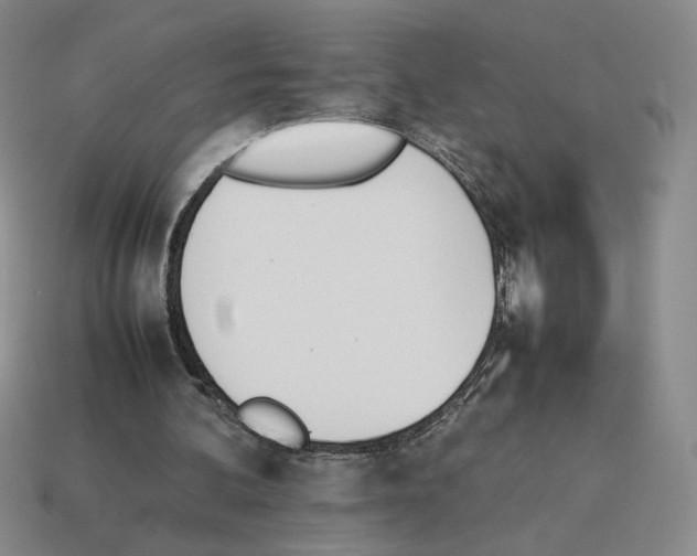 X0000114230292200911061533