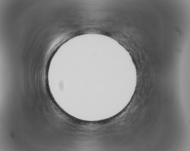 X0000114230293200911061533