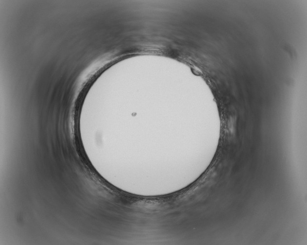 X0000114230294200911061533
