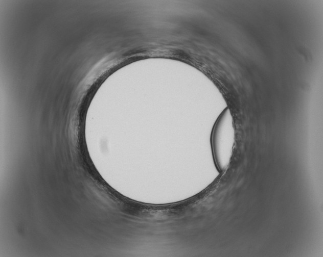 X0000114230295200911061533
