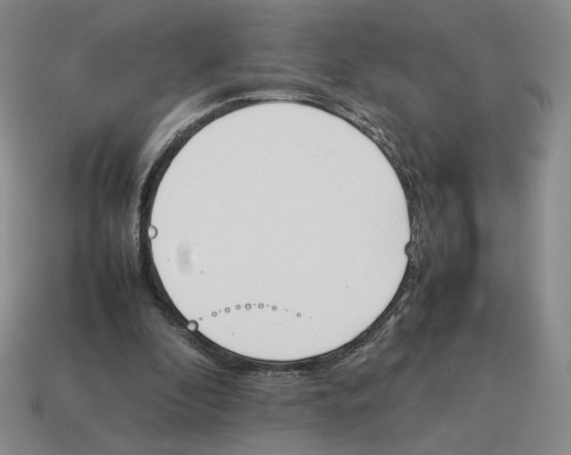 X0000114230296200911061533