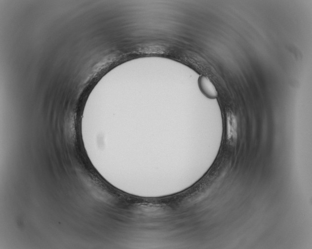 X0000114230300200911061533
