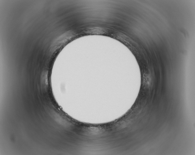 X0000114230302200911061533