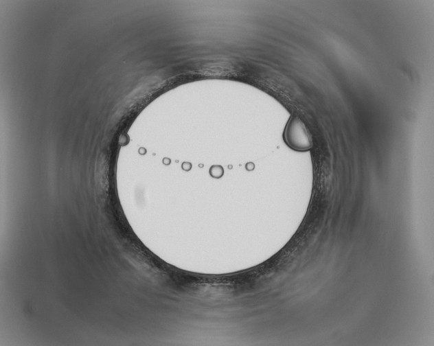 X0000114230303200911061533