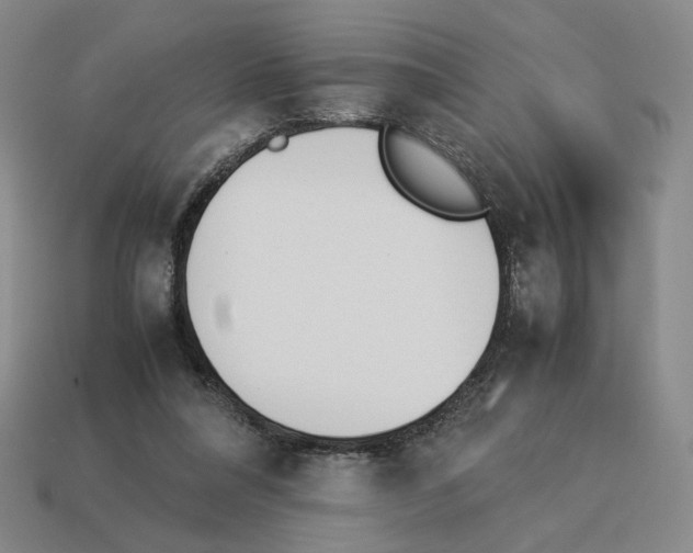 X0000114230304200911061533
