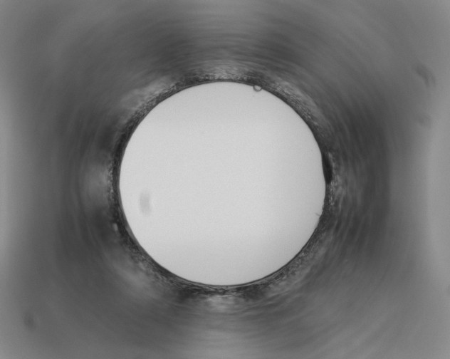 X0000114230306200911061533