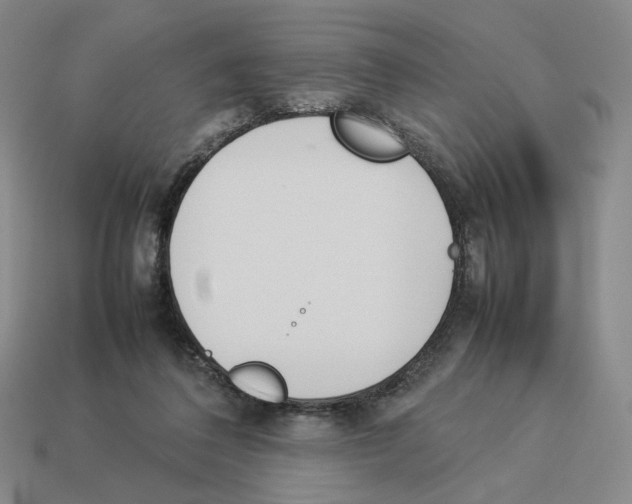 X0000114230308200911061533