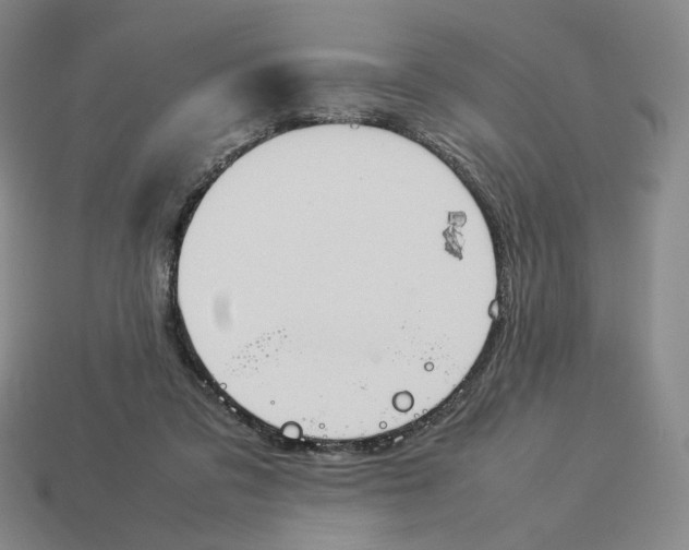 X0000114230309200911061533