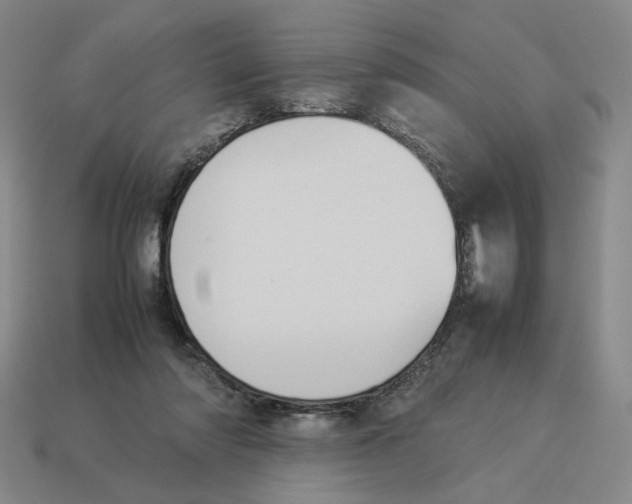 X0000114230310200911061533