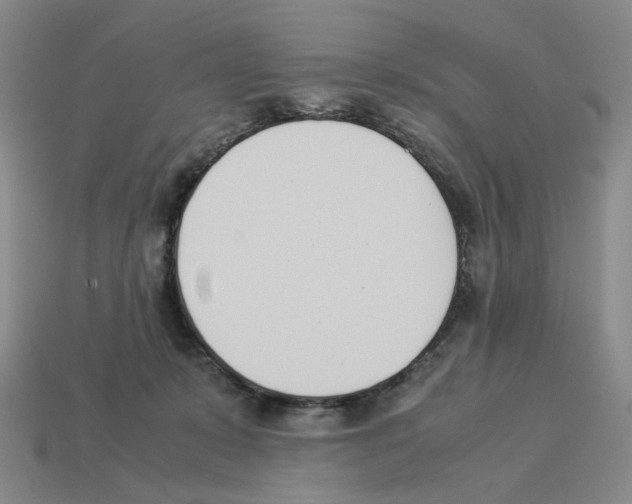 X0000114230319200911061533