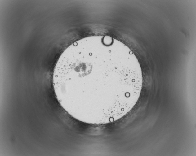 X0000114230321200911061533