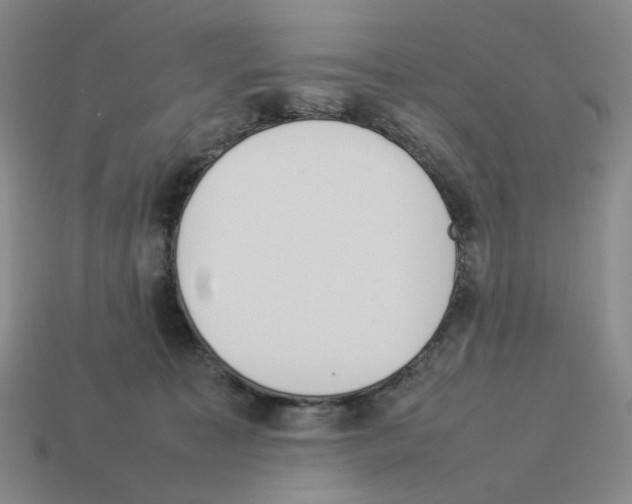 X0000114230323200911061533