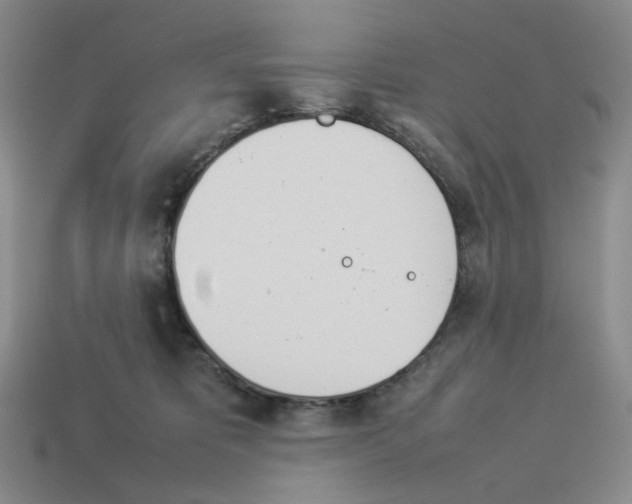X0000114230325200911061533