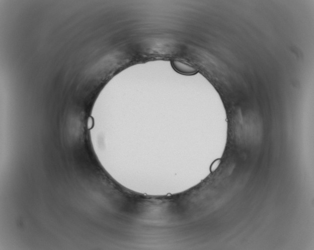 X0000114230328200911061533