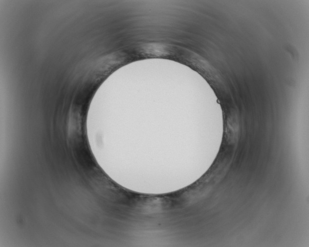 X0000114230330200911061533