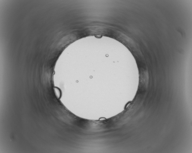 X0000114230333200911061533