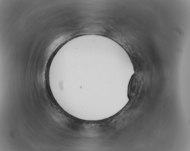 X0000114230340200911061532