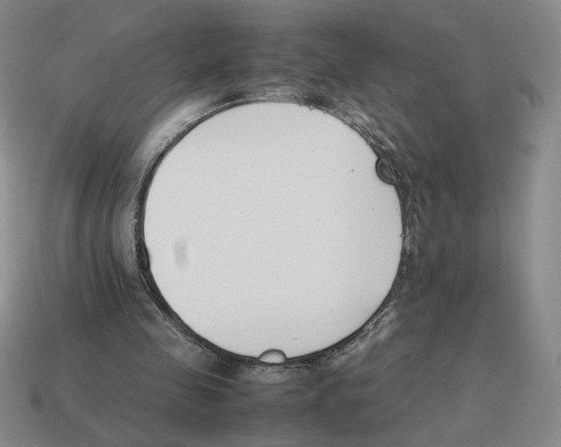 X0000114230341200911061532
