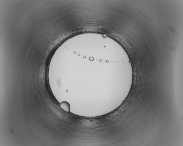 X0000114230346200911061532