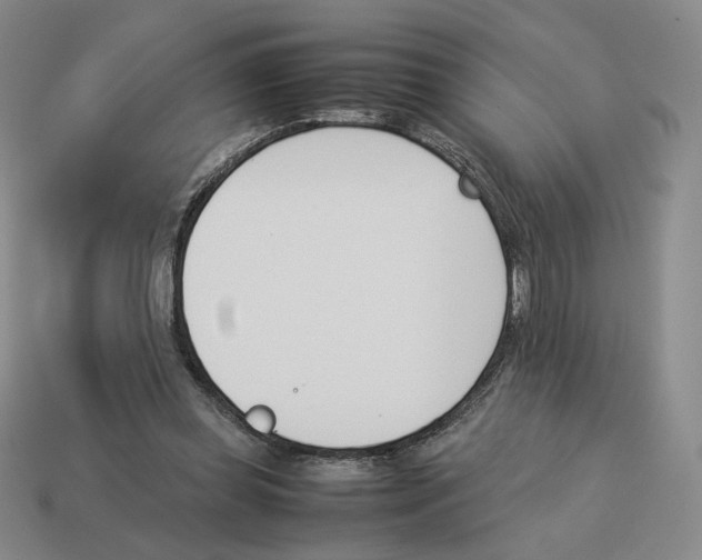 X0000114230349200911061532