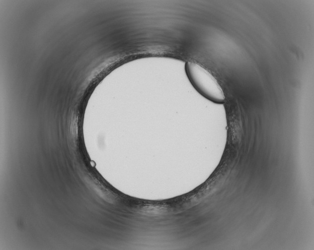 X0000114230350200911061532