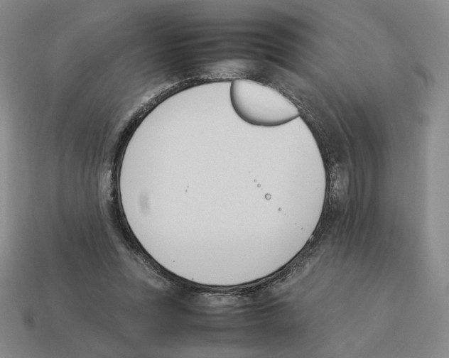 X0000114230351200911061532