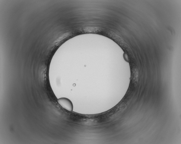 X0000114230356200911061532