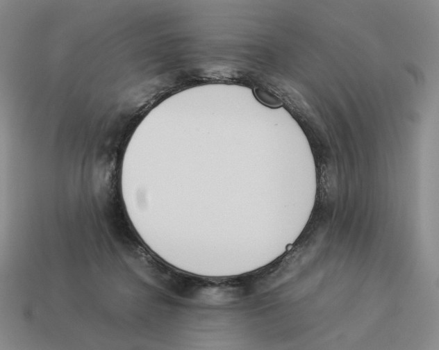 X0000114230364200911061532