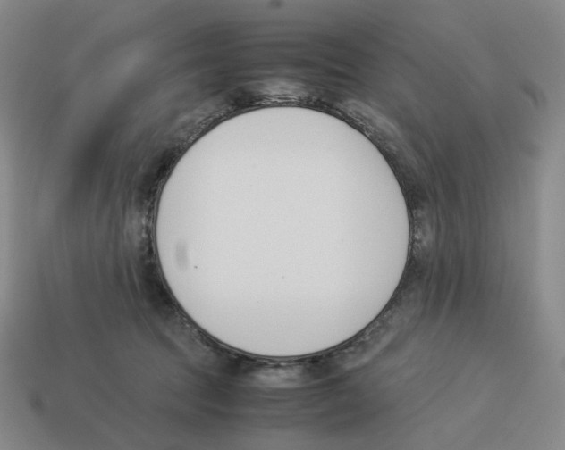 X0000114230369200911061532