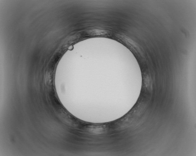 X0000114230373200911061532
