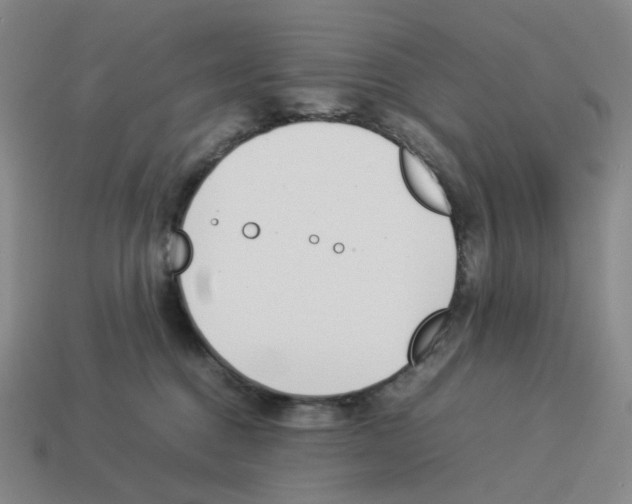X0000114230376200911061532