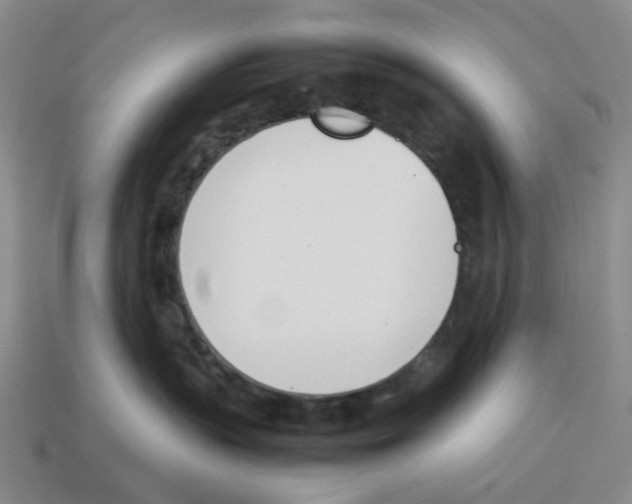 X0000114230383200911061533