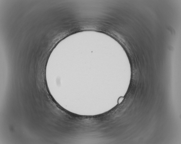 X0000114230385200911061532