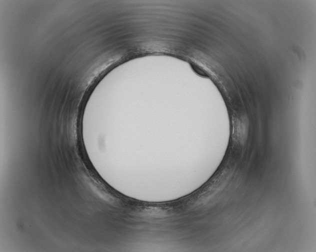 X0000114230390200911061532