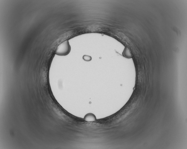 X0000114230393200911061532