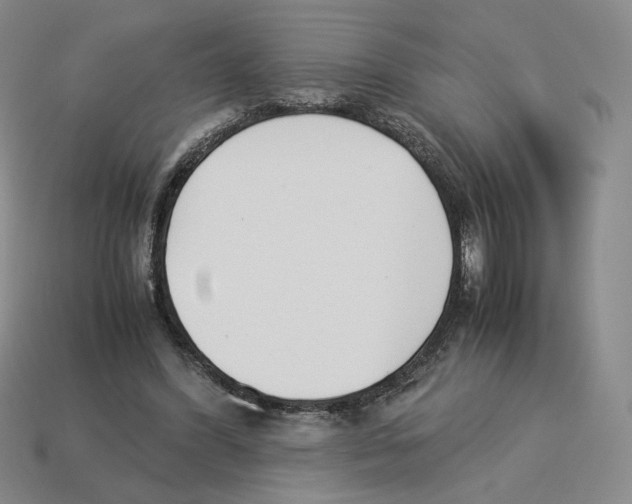 X0000114230396200911061532