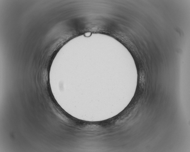 X0000114230397200911061532