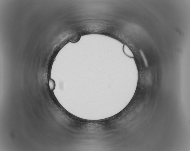 X0000114230399200911061532