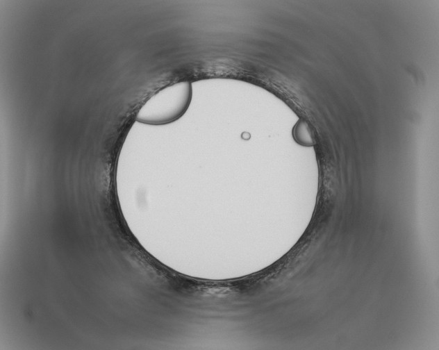 X0000114230401200911061532