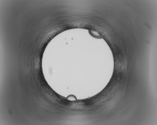 X0000114230403200911061532