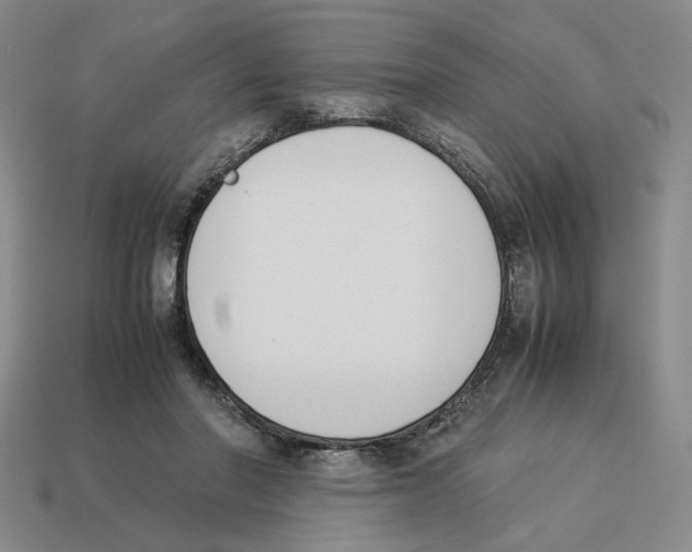 X0000114230406200911061532