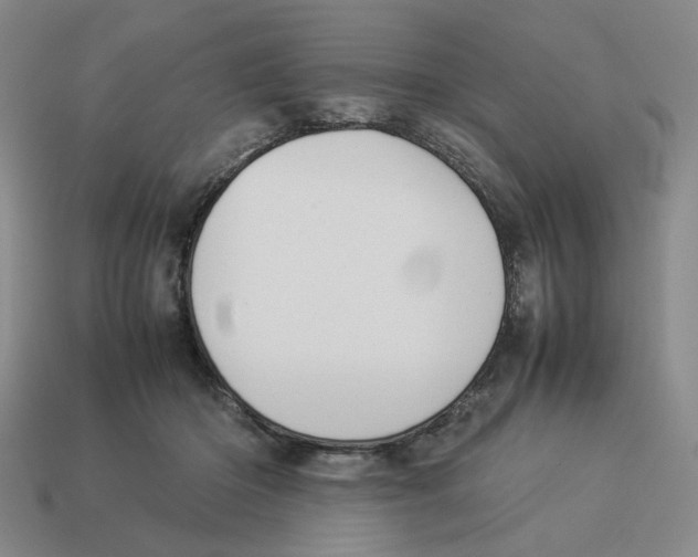 X0000114230414200911061532