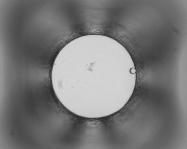 X0000114230415200911061532