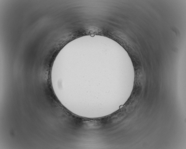 X0000114230417200911061532