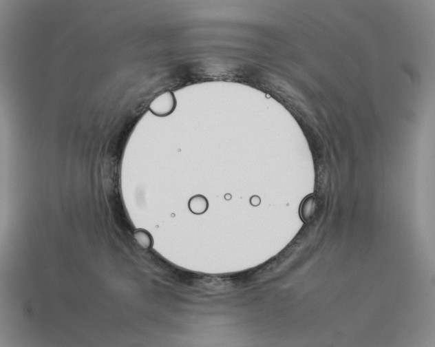 X0000114230421200911061532
