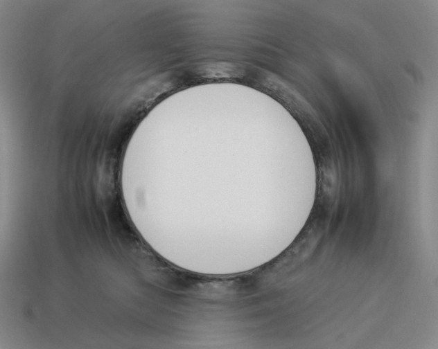 X0000114230422200911061531