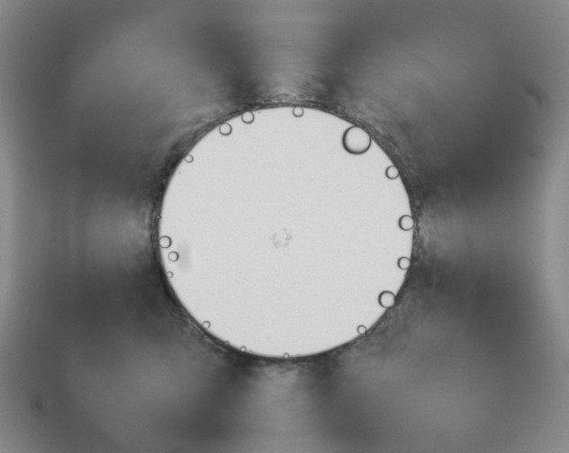 X0000114230423200911061531