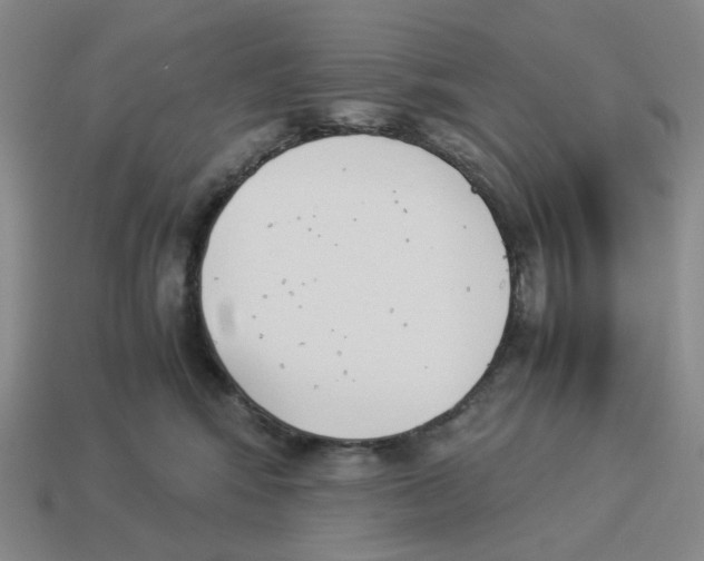 X0000114230424200911061531
