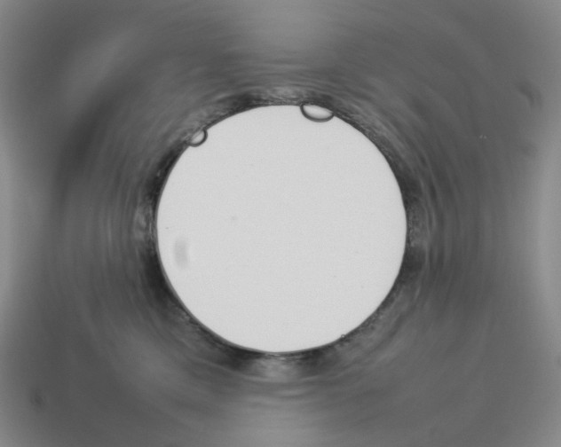 X0000114230425200911061531