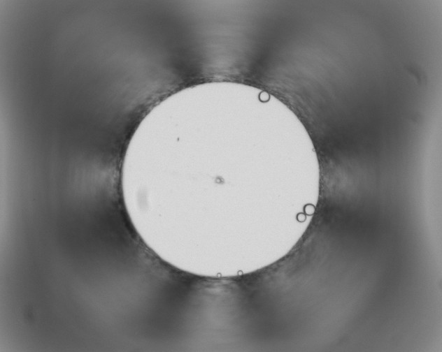 X0000114230427200911061531